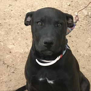 Meet your Posher, Yesenia